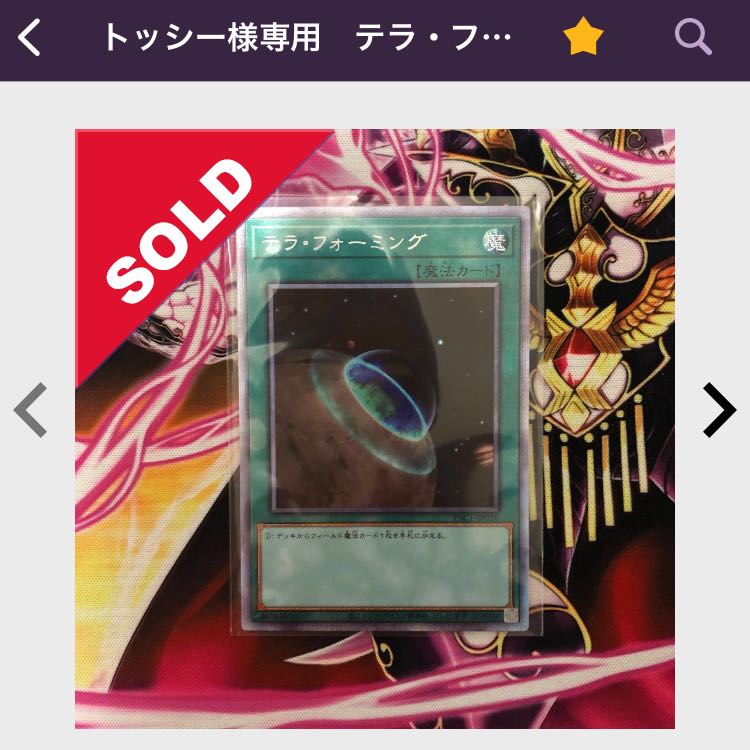 トッシー様専用