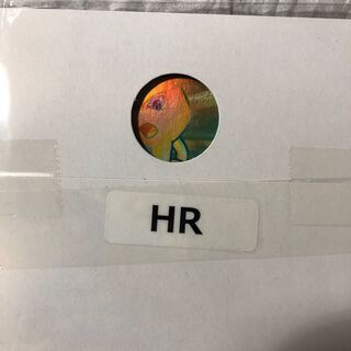ミュウツー HR
