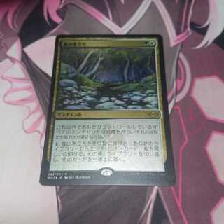 真の木立ち エッジングFoil