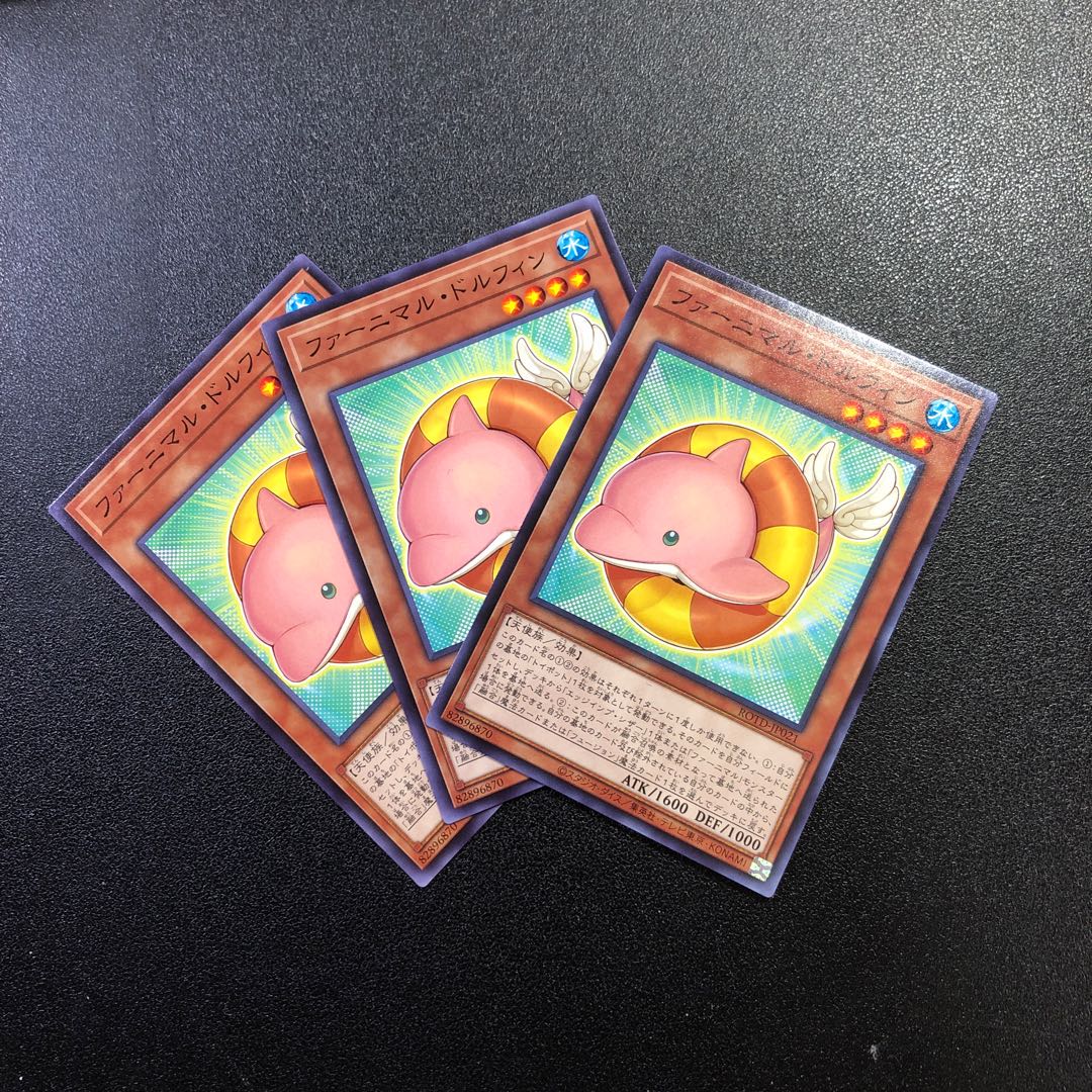 N] Fluffal Dolphin [Normal