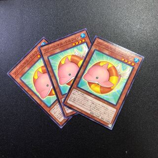 N] Fluffal Dolphin [Normal