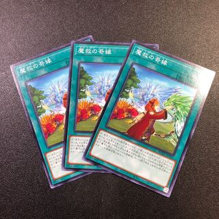 N] Adamancipator Friends [Normal