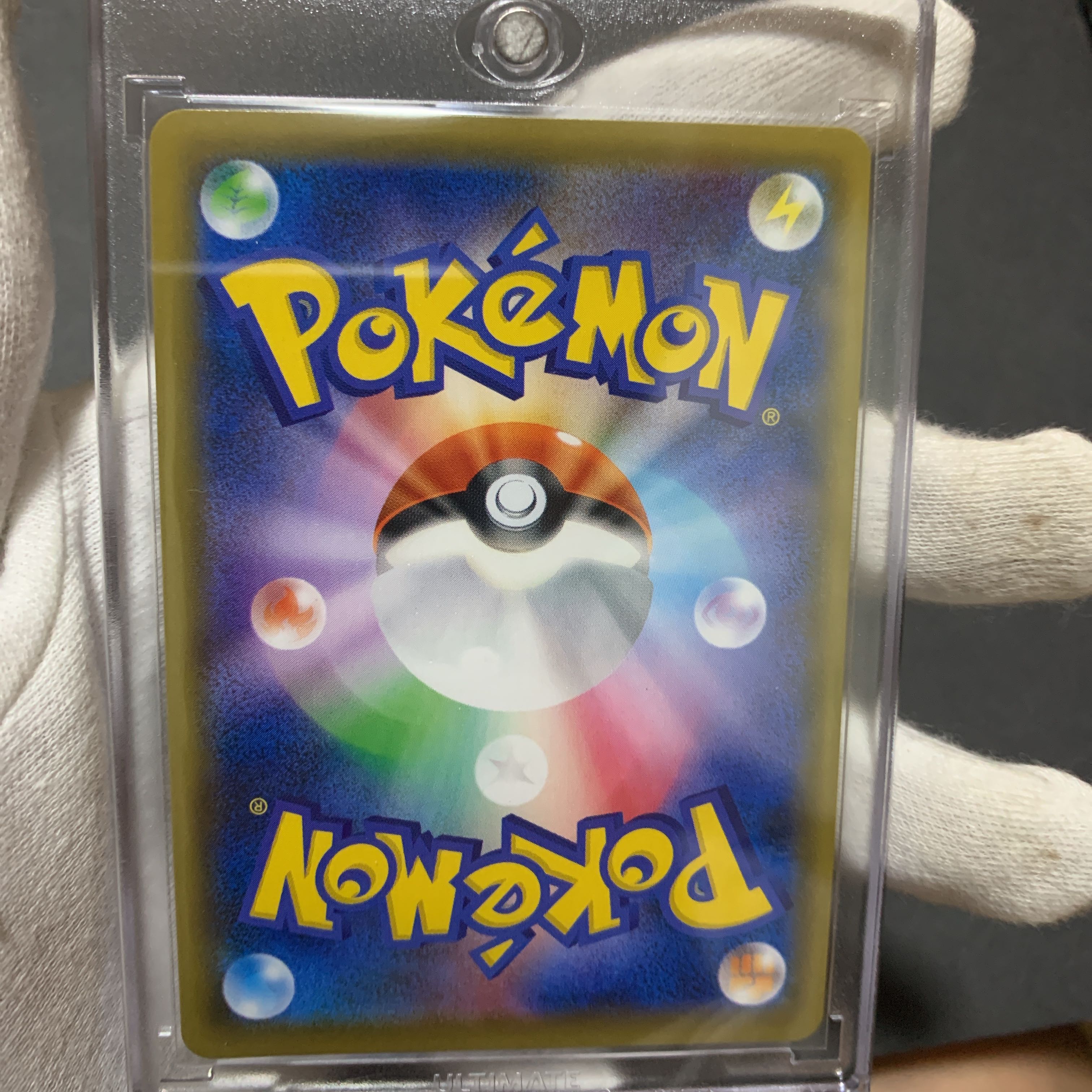 アローラの仲間たち プロモ