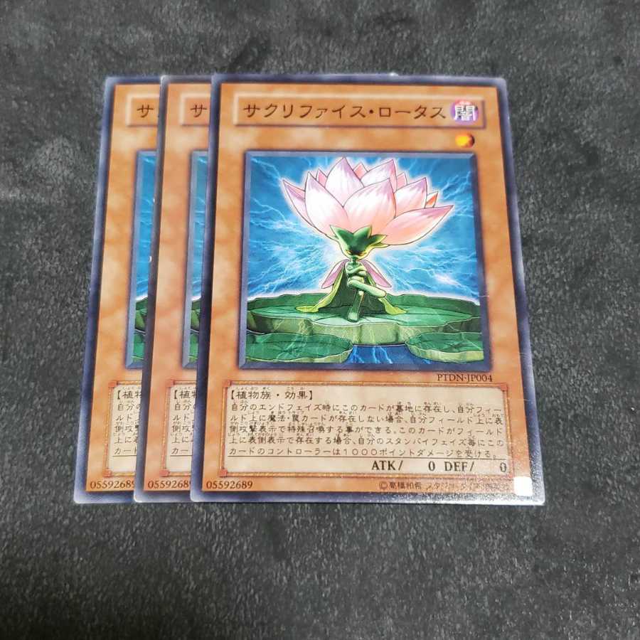 サクリファイス・ロータス ノーマル 遊戯王 虎ふぐ