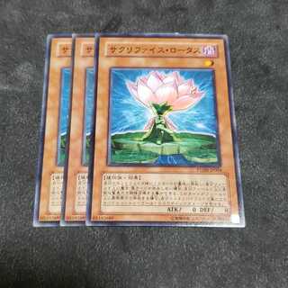 サクリファイス・ロータス ノーマル 遊戯王 虎ふぐ