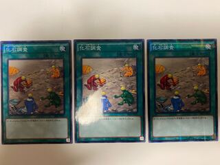 化石調査 パラレル ノーマル