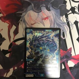 水上第九院 シャコガイル 1枚