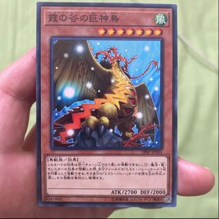 霞の谷の巨神鳥