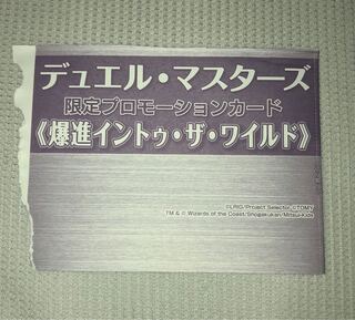 デュエマ　爆進イントゥ・ザ・ワイルド