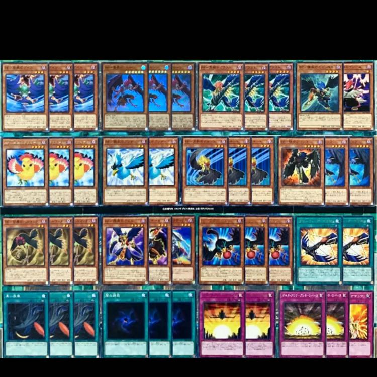 遊戯王 BF デッキ 本格構築 スリーブ付 シムーン ブラックフェザー