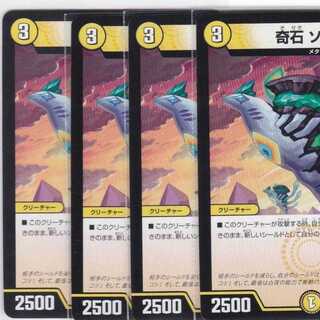 奇石 ソコーラ　４枚　DMSD-02　かぶとぷし