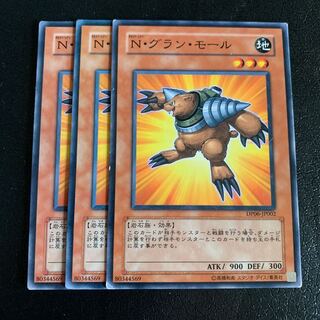 N・グラン・モール ノーマル