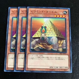 ピラミッド・タートル ノーマル