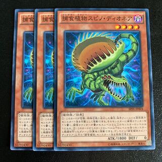 捕食植物スピノ・ディオネア ノーマル