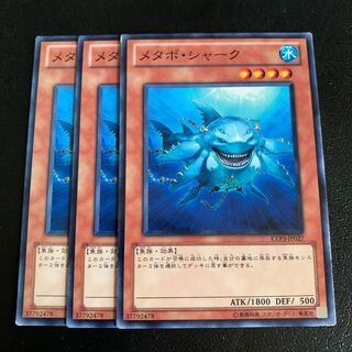 メタボ・シャーク ノーマル