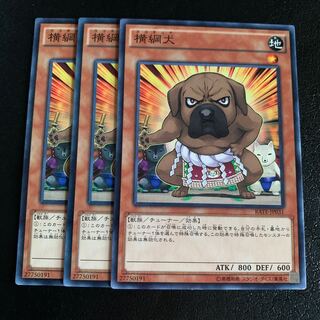 横綱犬 ノーマル