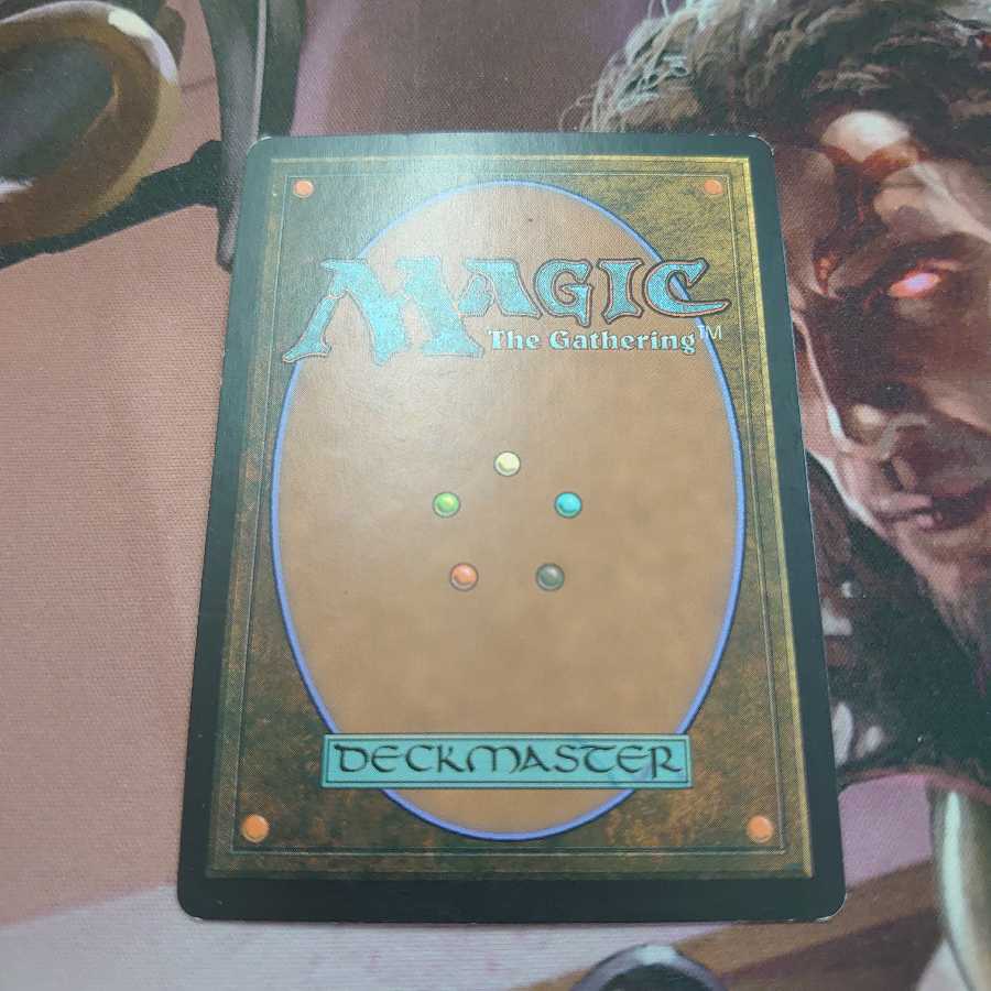 師範の占い独楽 2枚まで