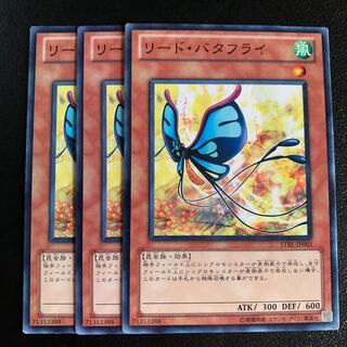 リード・バタフライ ノーマル