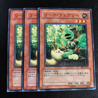 リーフ・フェアリー ノーマル