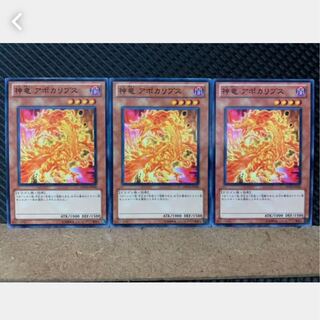 [Popotan] Yu-Gi-Oh! 3101 Divine Dragon Apocralyph 3 pieces Normal