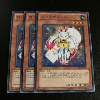 ロックキャット ノーマル