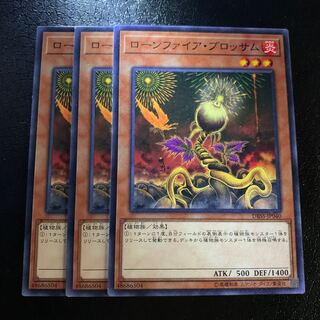 ローンファイア・ブロッサム ノーマル