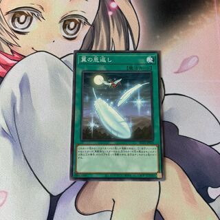 翼の恩返し パラレル ノーマル