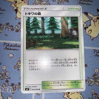 トキワの森 U (ライム様 専用)