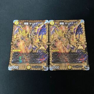 煌龍 サッヴァーク