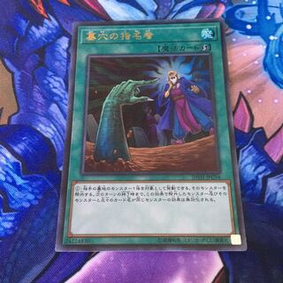 墓穴の指名者　ウルトラパラレル