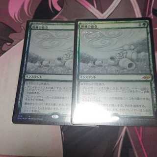 新緑の命令 スケッチFoil 2枚