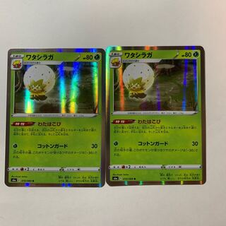 ワタシラガ 2枚