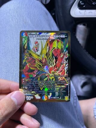 切札勝太&カツキング -熱血の物語- DSR