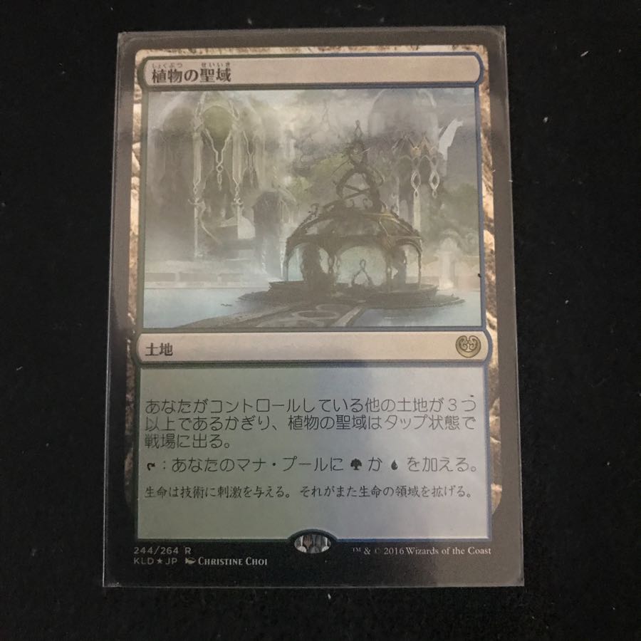 にむちゃん様専用 日foil 植物の聖域