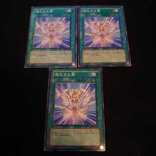 ❹進化する翼 ノーマル　3枚