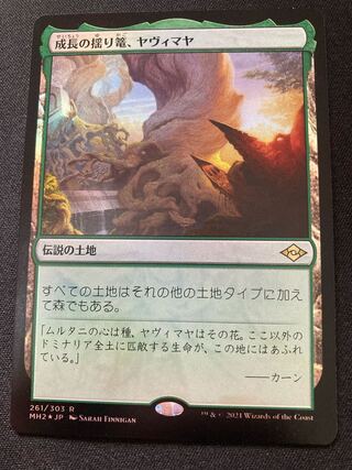 成長の揺り篭、ヤヴィマヤ 　foil