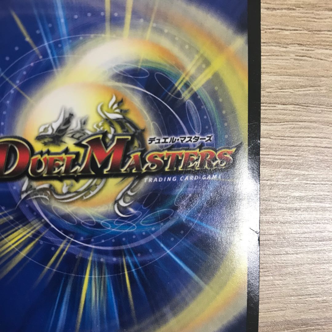 正体不明 ジャンク