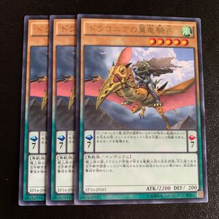 ドラコニアの翼竜騎兵 レア