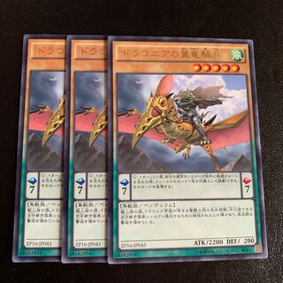 ドラコニアの翼竜騎兵 レア