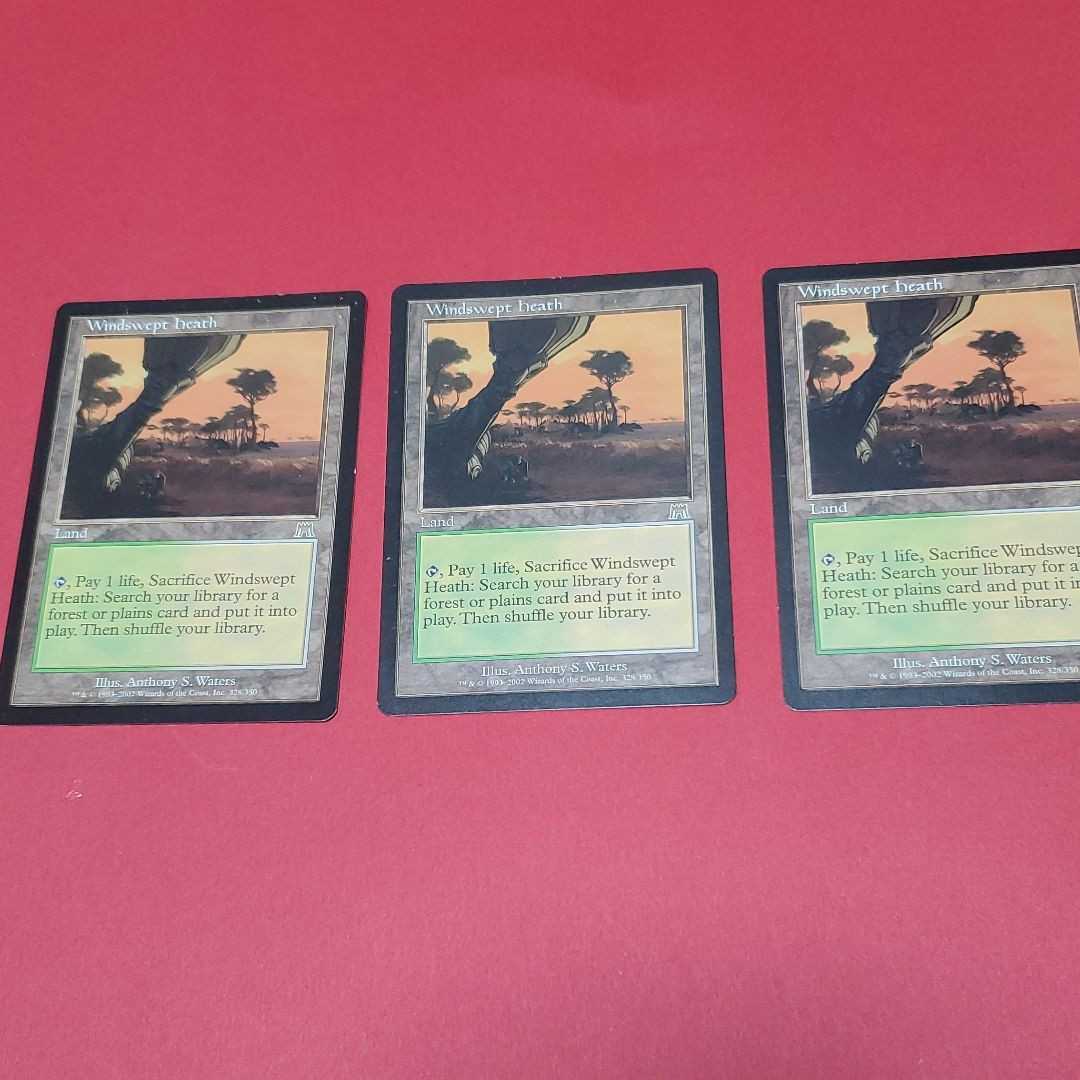 Mtg 吹きさらしの荒野　3枚セット