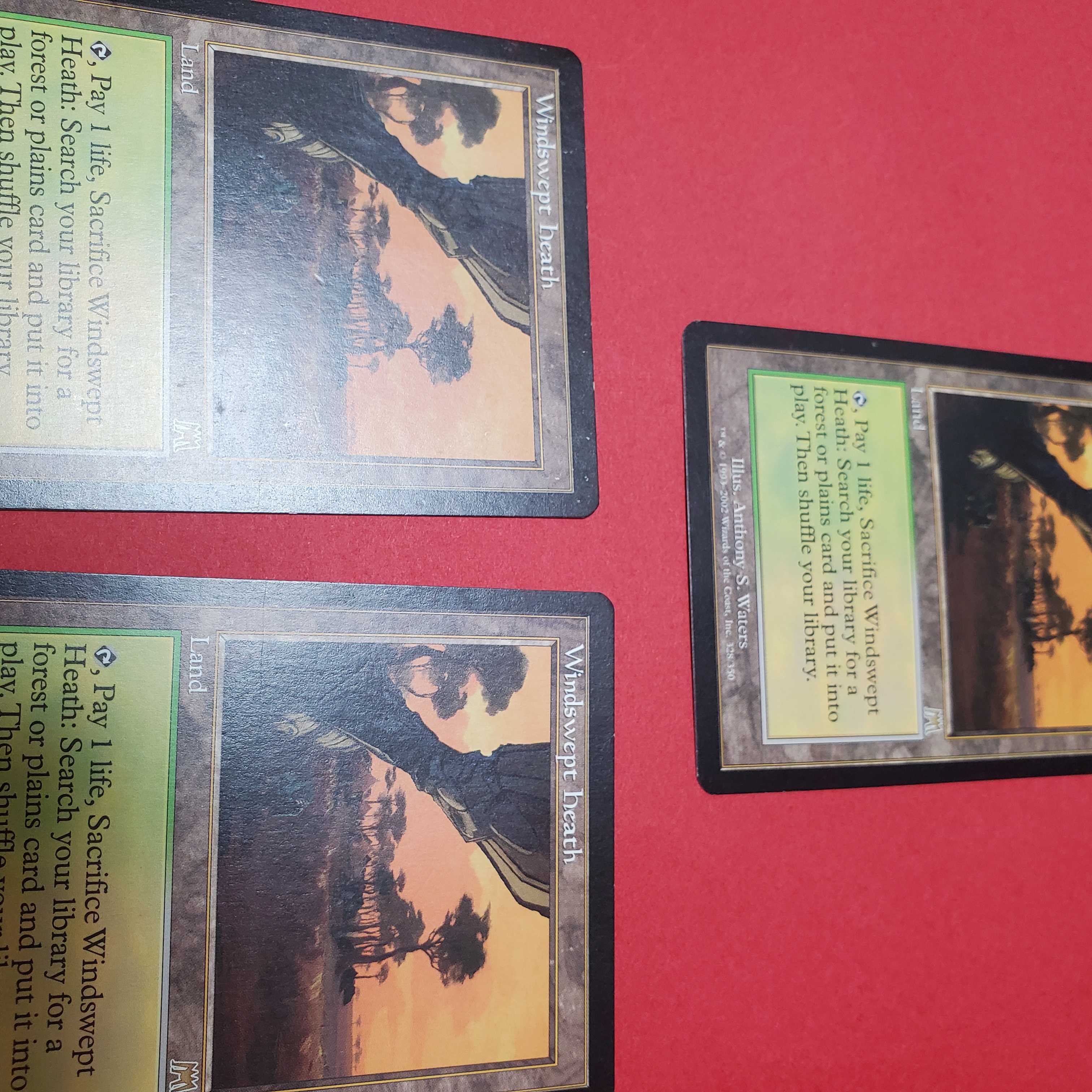 Mtg 吹きさらしの荒野　3枚セット