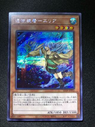 遊戯王　憑依装着-エリア　SE