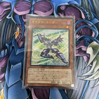 マイクロ・コーダー