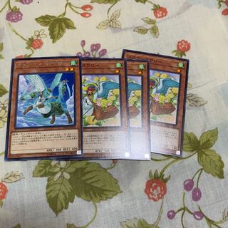 ホップ・イヤー飛行隊