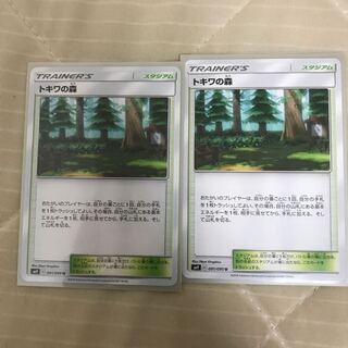 トキワの森×2