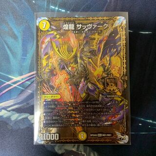 煌龍 サッヴァーク MDG