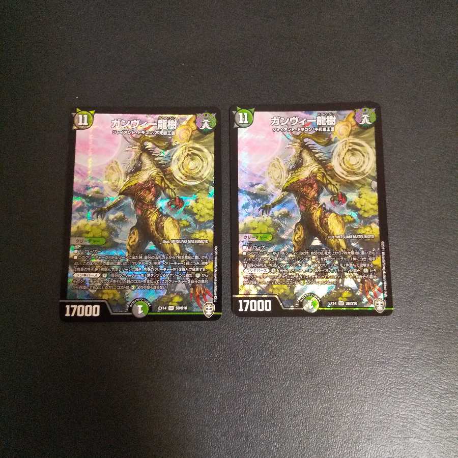 ガンヴィー龍樹