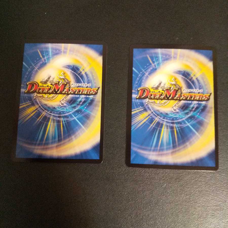 ガンヴィー龍樹