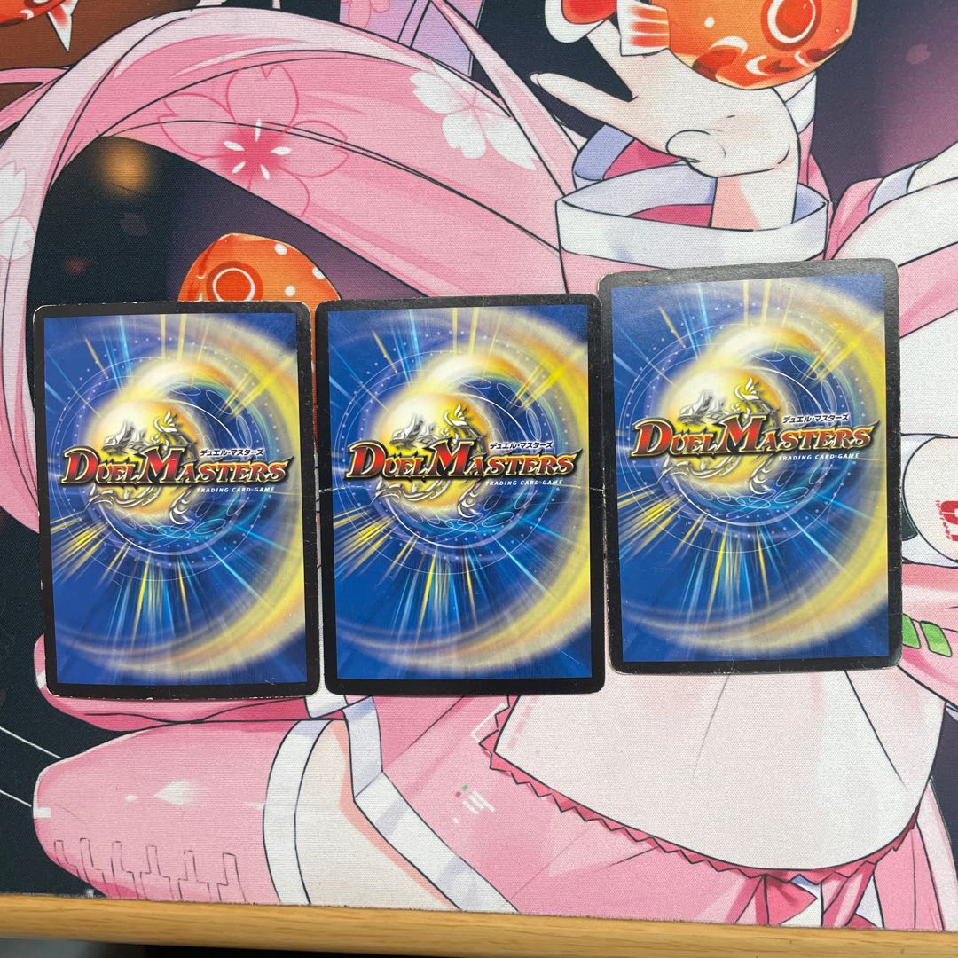 百族の長 プチョヘンザ 3枚