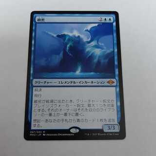 緻密　通常版　日本語